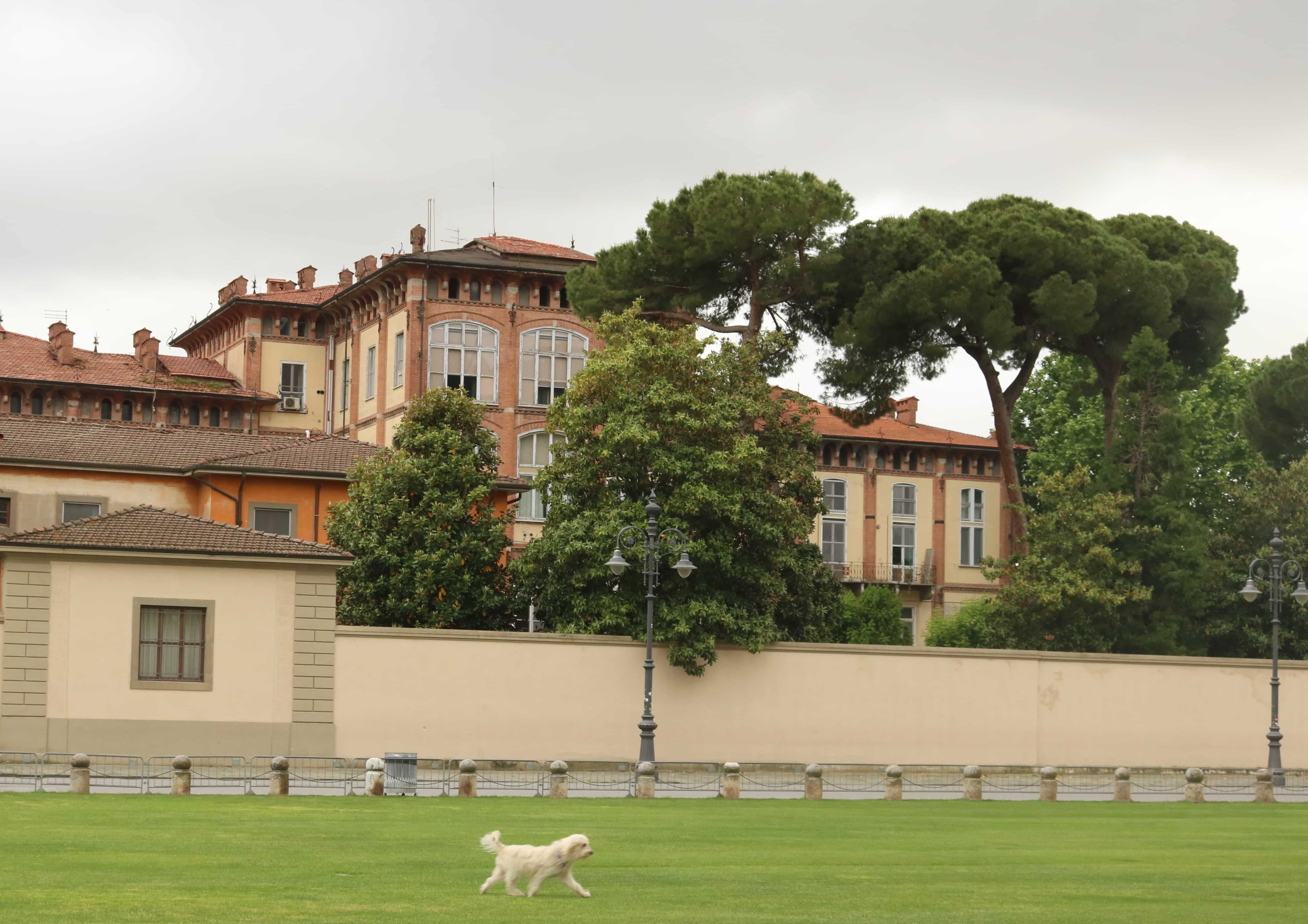 Ospedale Santa Chiara Pisa Via Roma 67